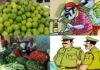 सब्जी व्यापारी के यहां से नींबू ही चुरा कर ले गए चोर, पुलिस भी उधेड़बुन में Thieves stole lemons from vegetable trader's
