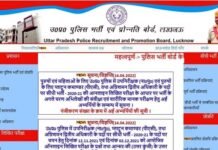 यूपी पुलिस : एसआई भर्ती परीक्षा का परिणाम घोषित, अभ्यर्थी इस वेबसाइट पर करें चेक UP Police SI Recruitment Exam Result