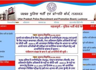 यूपी पुलिस : एसआई भर्ती परीक्षा का परिणाम घोषित, अभ्यर्थी इस वेबसाइट पर करें चेक UP Police SI Recruitment Exam Result