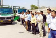 लावारिस गोवंशों को पकड़ने के लिए ग्रेनो प्राधिकरण ने किया इंतजाम, इन नम्बरों पर दें सकते हैं सूचना गोवंशों को पकड़ने