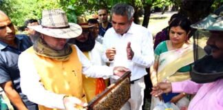 सीएम धामी ने शहद निष्कासन (Honey Extraction) कार्यक्रम का किया अवलोकन, मौनपालन को बढ़ावा देने के दिये निर्देश शहद निष्कासन