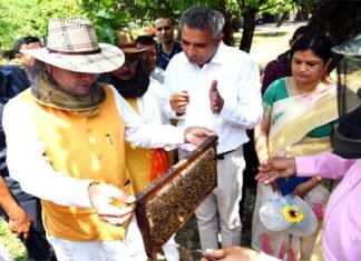 सीएम धामी ने शहद निष्कासन (Honey Extraction) कार्यक्रम का किया अवलोकन, मौनपालन को बढ़ावा देने के दिये निर्देश शहद निष्कासन