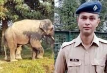 कोटद्वार में सुबह टहलने निकले युवा सिपाही की हाथी ने ली जान, पुलिस महकमे में शोक elephant-killed-the-police-constable