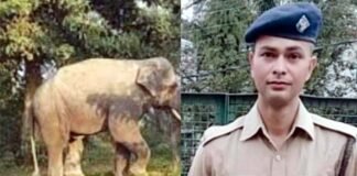 कोटद्वार में सुबह टहलने निकले युवा सिपाही की हाथी ने ली जान, पुलिस महकमे में शोक elephant-killed-the-police-constable