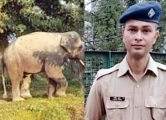 कोटद्वार में सुबह टहलने निकले युवा सिपाही की हाथी ने ली जान, पुलिस महकमे में शोक elephant-killed-the-police-constable