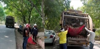 कलेक्ट्रेट के आसपास के एरिया को चमकाने में जुटा ग्रेटर नोएडा प्राधिकरण, सीईओ ने निरीक्षण के दौरान साफ-सफाई व हरियाली सुधारने के दिए थे निर्देश