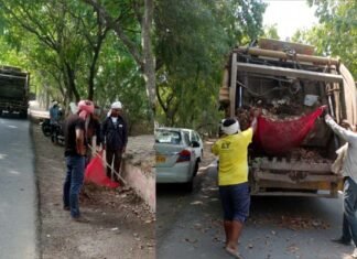 कलेक्ट्रेट के आसपास के एरिया को चमकाने में जुटा ग्रेटर नोएडा प्राधिकरण, सीईओ ने निरीक्षण के दौरान साफ-सफाई व हरियाली सुधारने के दिए थे निर्देश
