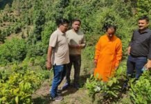 कैबिनेट मंत्री धन सिंह रावत ने कठूली में चाय बागान का किया निरीक्षण, बोले कास्तकारों की बढ़ेगी आर्थिकी Dhan Singh Rawat inspected the tea garden in Kathuli