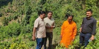 कैबिनेट मंत्री धन सिंह रावत ने कठूली में चाय बागान का किया निरीक्षण, बोले कास्तकारों की बढ़ेगी आर्थिकी Dhan Singh Rawat inspected the tea garden in Kathuli