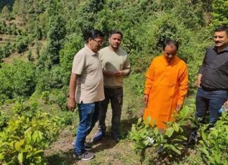कैबिनेट मंत्री धन सिंह रावत ने कठूली में चाय बागान का किया निरीक्षण, बोले कास्तकारों की बढ़ेगी आर्थिकी Dhan Singh Rawat inspected the tea garden in Kathuli