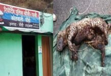 पौड़ी में गुलदार को जिंदा जलाने के मामले में ग्राम प्रधान समेत 150 के खिलाफ मुकदमा दर्ज burning-Guldar-alive-in-PauRI