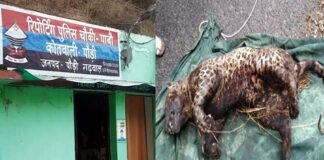 पौड़ी में गुलदार को जिंदा जलाने के मामले में ग्राम प्रधान समेत 150 के खिलाफ मुकदमा दर्ज burning-Guldar-alive-in-PauRI