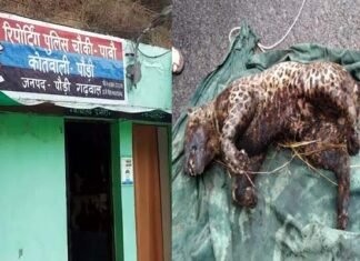 पौड़ी में गुलदार को जिंदा जलाने के मामले में ग्राम प्रधान समेत 150 के खिलाफ मुकदमा दर्ज burning-Guldar-alive-in-PauRI