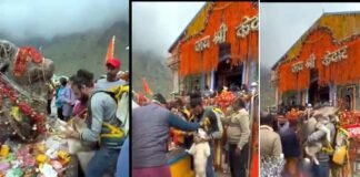 आस्था से खिलवाड़!,केदारनाथ धाम में कुत्ते का तिलक और पंजे से नंदी की मूर्ति स्पर्श का वीडियो सोशल मीडिया पर हो रहा है वायरल, मंदिर समिति ने दिए कार्रवाई के निर्देश dog-in-kedarnath-dham