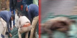 पौड़ी गढ़वाल: गुस्साए ग्रामीणों ने पिंजरे में कैद गुलदार को जिंदा जलाया, बीते दिनों गुलदार ने काफल लेने गयी महिला को बनाया था निवाला guldar-was-burnt-alive