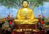 बुद्ध पूर्णिमा विशेष : राजमहल छोड़ राजकुमार सिद्धार्थ ने गौतम बुद्ध बनकर दुनिया में फैलाया ज्ञान का प्रकाश Gautam-Buddha