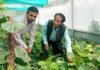 उत्तराखंड: सुअर-बंदरों से मिलेगी निजात,जंगली-जानवरों से खेती को सुरक्षित रखने हेतु बनाई गई मशीन का डीएम ने किया शुभारंभ machine made to keep agriculture safe from wild animals