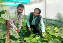 उत्तराखंड: सुअर-बंदरों से मिलेगी निजात,जंगली-जानवरों से खेती को सुरक्षित रखने हेतु बनाई गई मशीन का डीएम ने किया शुभारंभ machine made to keep agriculture safe from wild animals