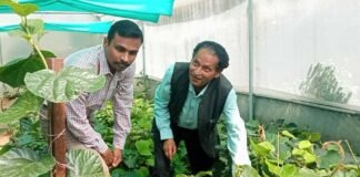 उत्तराखंड: सुअर-बंदरों से मिलेगी निजात,जंगली-जानवरों से खेती को सुरक्षित रखने हेतु बनाई गई मशीन का डीएम ने किया शुभारंभ machine made to keep agriculture safe from wild animals