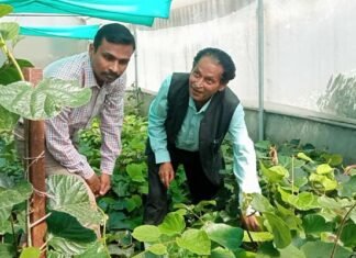 उत्तराखंड: सुअर-बंदरों से मिलेगी निजात,जंगली-जानवरों से खेती को सुरक्षित रखने हेतु बनाई गई मशीन का डीएम ने किया शुभारंभ machine made to keep agriculture safe from wild animals