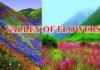 Valley Of Flowers: महकने लगी है फूलों की घाटी, 1 जून से सैलानी कर सकते हैं दीदार,कैसे जायें और कितना है प्रवेश शुल्क यहाँ देखें valley-of-flowers