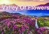 Valley Of Flowers: आज से पर्यटकों के लिए खुल जाएगी विश्व प्रसिद्ध फूलों की घाटी, 500 से ज्यादा किस्म के फूलों का कर सकते हैं दीदार, जानिए प्रवेश शुल्क Valley Of Flowers