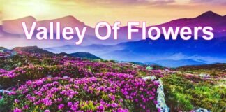 Valley Of Flowers: आज से पर्यटकों के लिए खुल जाएगी विश्व प्रसिद्ध फूलों की घाटी, 500 से ज्यादा किस्म के फूलों का कर सकते हैं दीदार, जानिए प्रवेश शुल्क Valley Of Flowers
