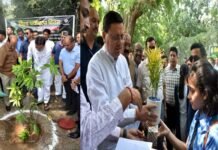 सीएम धामी ने विश्व पर्यावरण दिवस पर किया वृक्षारोपण, बोले चंपावत को वोकल फॉर लोकल आधारित आर्थिकी एवं पारिस्थितिकी के रूप में खड़ा किया जायेगा