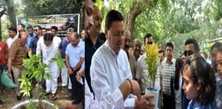 सीएम धामी ने विश्व पर्यावरण दिवस पर किया वृक्षारोपण, बोले चंपावत को वोकल फॉर लोकल आधारित आर्थिकी एवं पारिस्थितिकी के रूप में खड़ा किया जायेगा