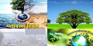 विश्व पर्यावरण दिवस : बिगड़ती आबोहवा दे रही भयावह संदेश, स्वस्थ जीवन के लिए प्रकृति को बनाएं हरा-भरा World Environment Day, make nature green for a healthy life