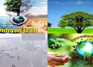 विश्व पर्यावरण दिवस : बिगड़ती आबोहवा दे रही भयावह संदेश, स्वस्थ जीवन के लिए प्रकृति को बनाएं हरा-भरा World Environment Day, make nature green for a healthy life
