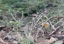 उत्तराखंड में दर्दनाक हादसा, यात्रियों से भरी बस खाई में गिरी, 25 लोगों की मौत की खबर