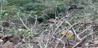 उत्तराखंड में दर्दनाक हादसा, यात्रियों से भरी बस खाई में गिरी, 25 लोगों की मौत की खबर