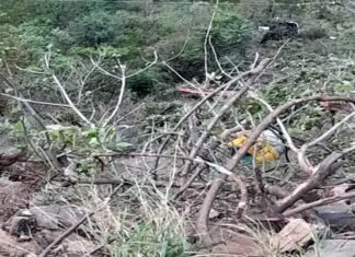 उत्तराखंड में दर्दनाक हादसा, यात्रियों से भरी बस खाई में गिरी, 25 लोगों की मौत की खबर