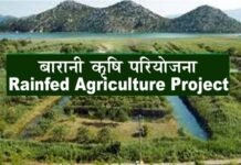 विश्व बैंक ने उत्तराखण्ड के लिये 1000 करोड़ की बारानी कृषि परियोजना को दी मंजूरी, जानिए क्या है बारानी कृषि परियोजना rainfed agriculture project