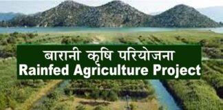 विश्व बैंक ने उत्तराखण्ड के लिये 1000 करोड़ की बारानी कृषि परियोजना को दी मंजूरी, जानिए क्या है बारानी कृषि परियोजना rainfed agriculture project