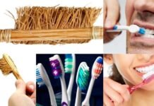 आज ही के दिन दुनिया को मिली थी ‘टूथब्रश’ की सौगात, जानिए पहला टूथब्रश कब और किसने बनाया था first toothbrush