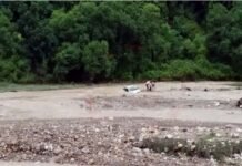 उत्तराखंड: रामनगर में फिर बही कार, चार शिक्षकों ने कूदकर बचाई जान, बीते शुक्रवार की घटना से अभी भी सहमे हैं लोग