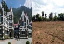 देहरादून चाय बागान की जमीन की खरीद-फरोख्त पर हाईकोर्ट ने लगाई रोक, सरकार से मांगा विस्तृत जवाब, दून की 350 बीघा भूमि का मामला Dehradun tea garden land
