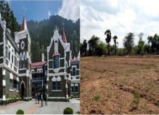 देहरादून चाय बागान की जमीन की खरीद-फरोख्त पर हाईकोर्ट ने लगाई रोक, सरकार से मांगा विस्तृत जवाब, दून की 350 बीघा भूमि का मामला Dehradun tea garden land