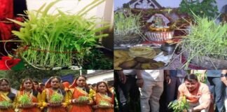 हरेला लोकपर्व: हरियाली-खुशहाली और समृद्धि के साथ देवभूमि की आस्था से भी जुड़ा है हरेला