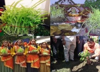 हरेला लोकपर्व: हरियाली-खुशहाली और समृद्धि के साथ देवभूमि की आस्था से भी जुड़ा है हरेला