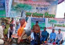 जिलाधिकारी डॉ. जोगदण्डे ने कमेड़ा गांव में हरेला कार्यक्रम के तहत विभिन्न प्रजाति के पौधों का किया रोपण