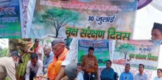 जिलाधिकारी डॉ. जोगदण्डे ने कमेड़ा गांव में हरेला कार्यक्रम के तहत विभिन्न प्रजाति के पौधों का किया रोपण