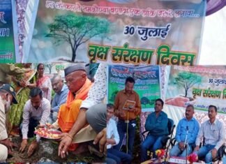 जिलाधिकारी डॉ. जोगदण्डे ने कमेड़ा गांव में हरेला कार्यक्रम के तहत विभिन्न प्रजाति के पौधों का किया रोपण