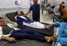 स्कूल से घर लौट रहे छात्रों पर ततैया के झुण्ड ने किया हमला, 8 छात्र अस्पताल में भर्ती, 3 की हालत गंभीर Wasps attacked students