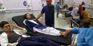 स्कूल से घर लौट रहे छात्रों पर ततैया के झुण्ड ने किया हमला, 8 छात्र अस्पताल में भर्ती, 3 की हालत गंभीर Wasps attacked students