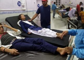 स्कूल से घर लौट रहे छात्रों पर ततैया के झुण्ड ने किया हमला, 8 छात्र अस्पताल में भर्ती, 3 की हालत गंभीर Wasps attacked students