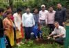 “एक पेड़ पुरानी पेंशन बहाली के नाम” अभियान के तहत NPS कर्मचारियों ने किया पौधारोपण ek ped purani penshan bahali ke nam