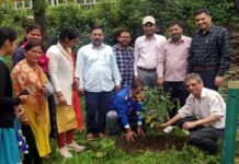 “एक पेड़ पुरानी पेंशन बहाली के नाम” अभियान के तहत NPS कर्मचारियों ने किया पौधारोपण ek ped purani penshan bahali ke nam